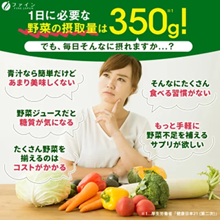 oishii yasai flyer