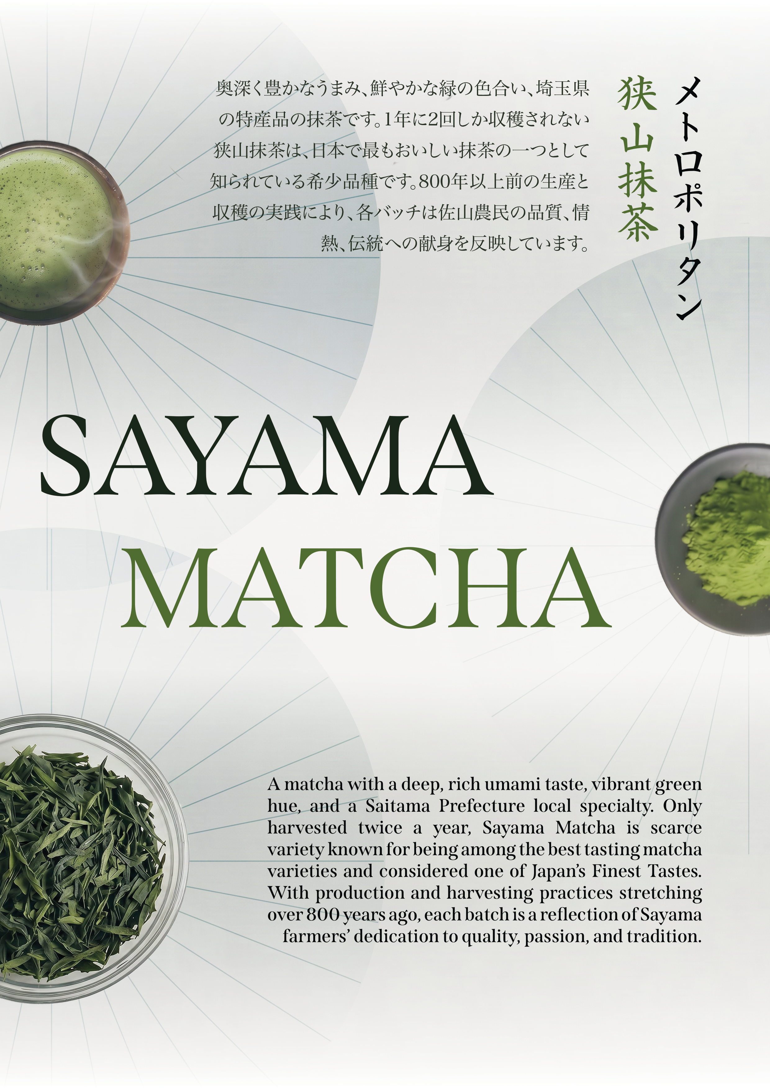 Sayama Matcha Poster v4.4