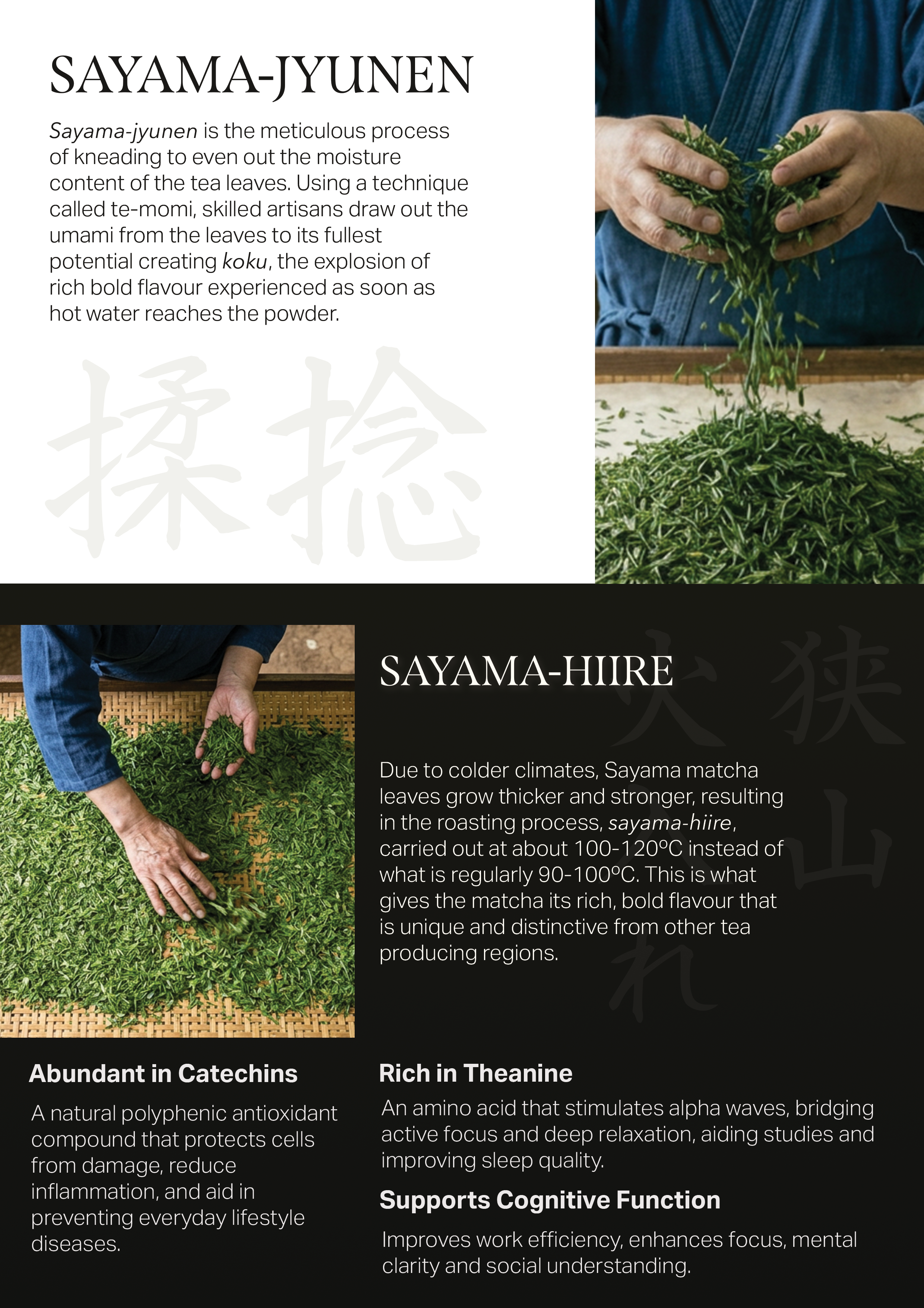 Sayama Matcha Poster Back v4.1