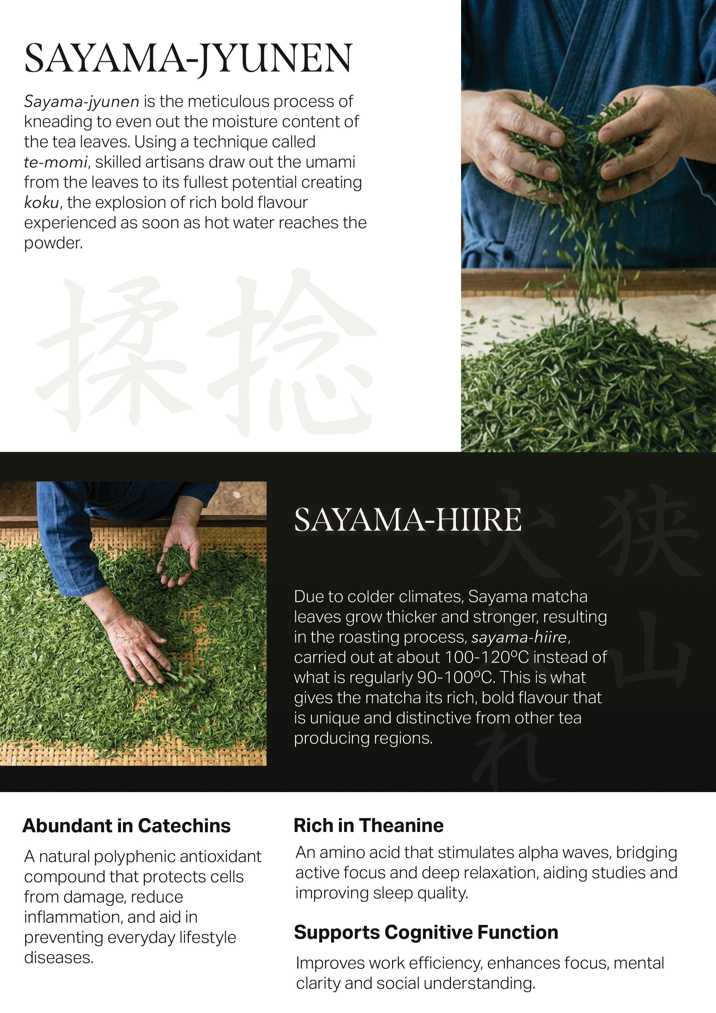 Sayama Matcha Poster Back v4.2