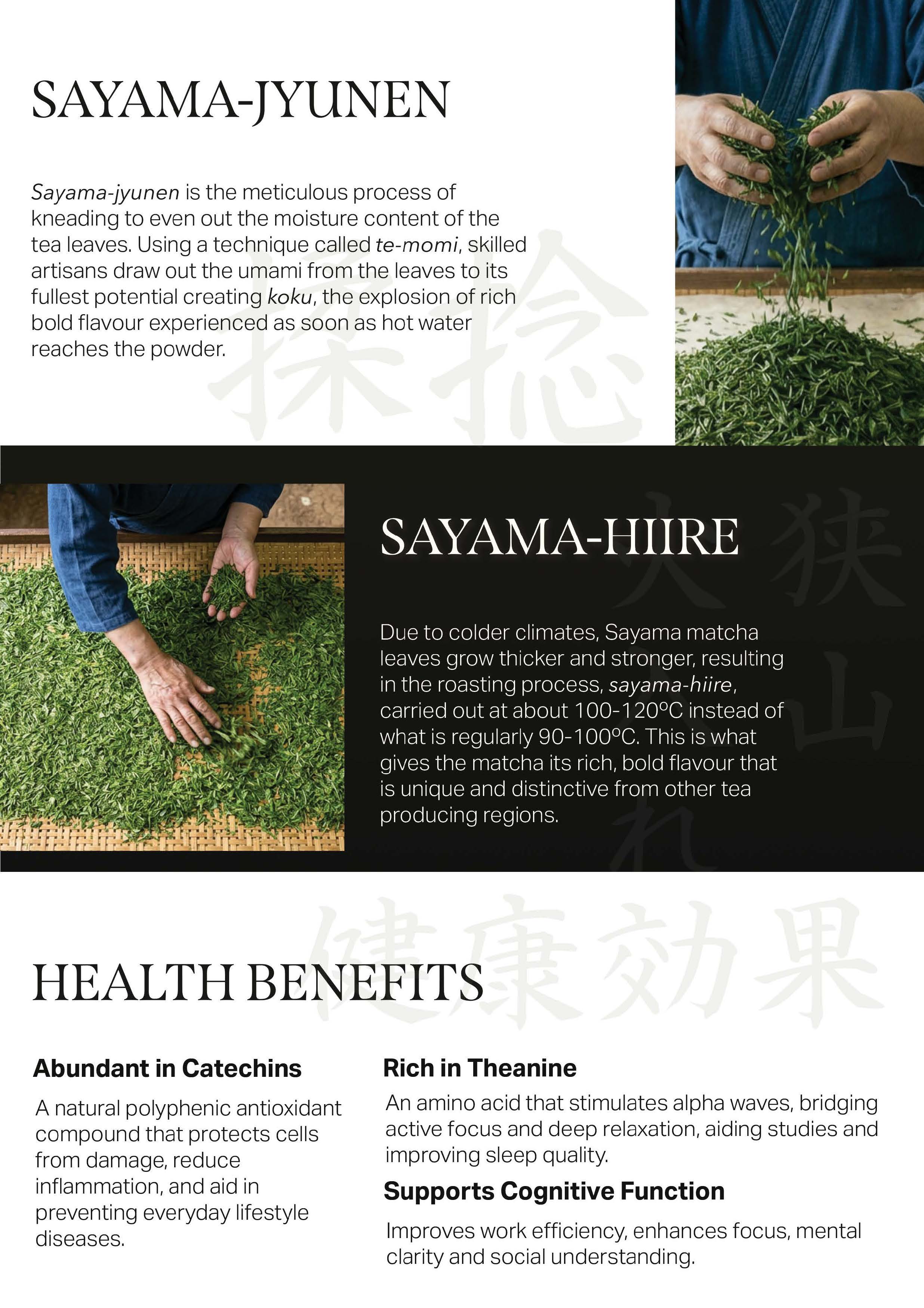 sayama matcha poster backside